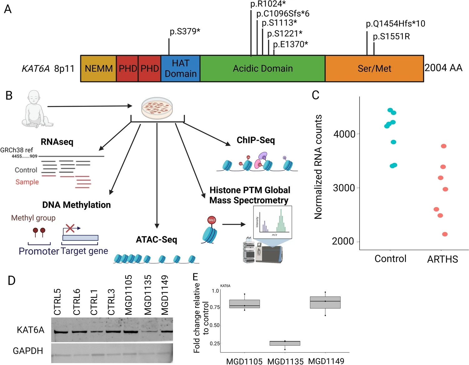 1846096021210910720-ApplicationCaseofTranscriptomics-PTMProteomicsAnalysis.jpg