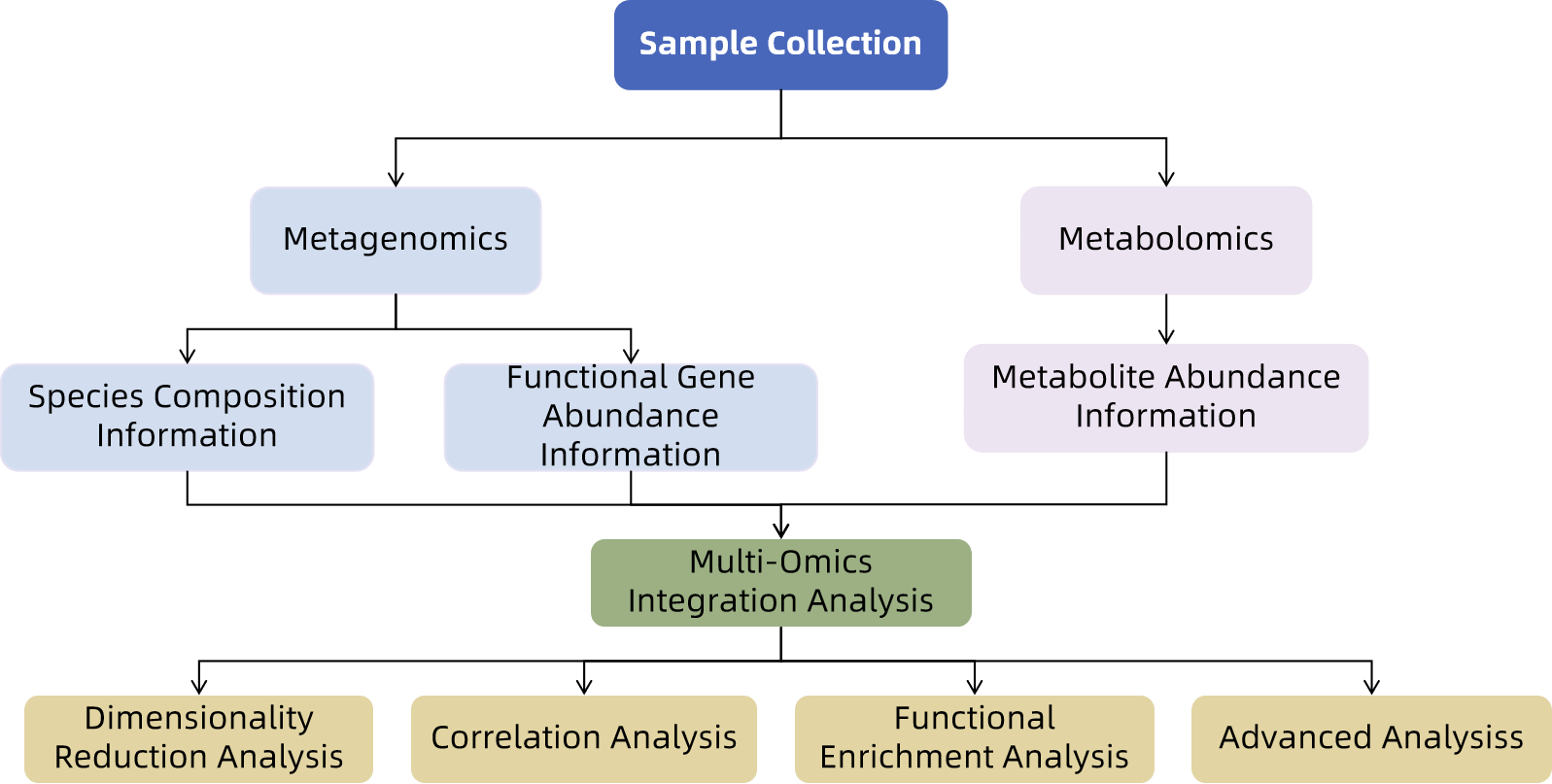 1846097234883104768-TheWorkflowofMetagenomics-MetabolomicsAnalysis.png