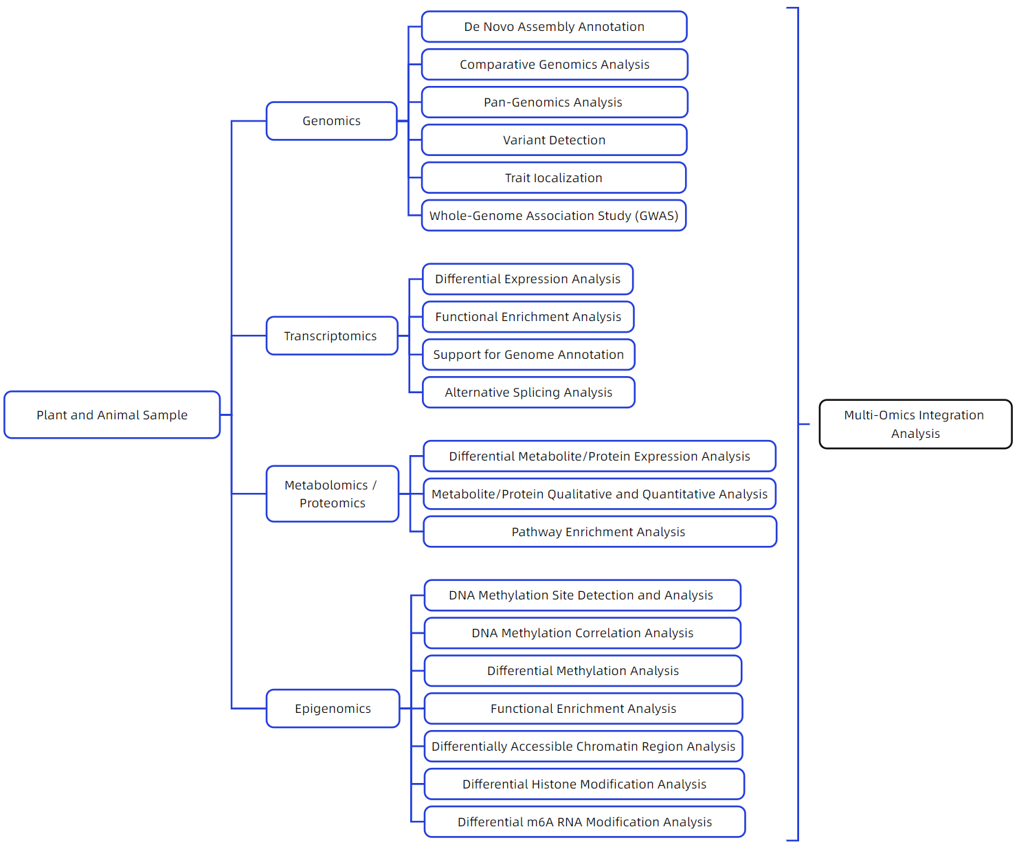 1846098925523161088-TheWorkflowofPlantandAnimalMulti-OmicsAnalysis.png