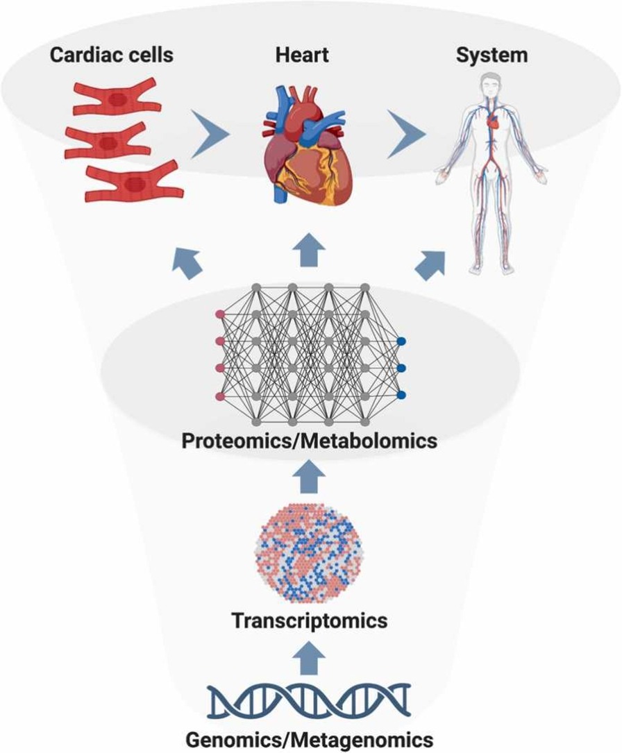 1846099603213635584-IntegratedMulti-OmicsAnalysisofDisease.jpg