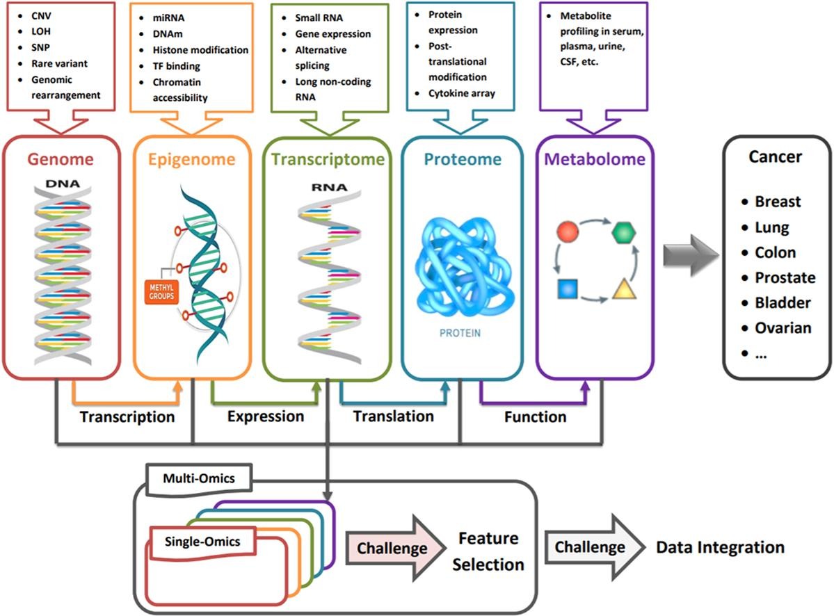 1846100534286209024-TheWorkflowofCancerMulti-OmicsAnalysis.jpg