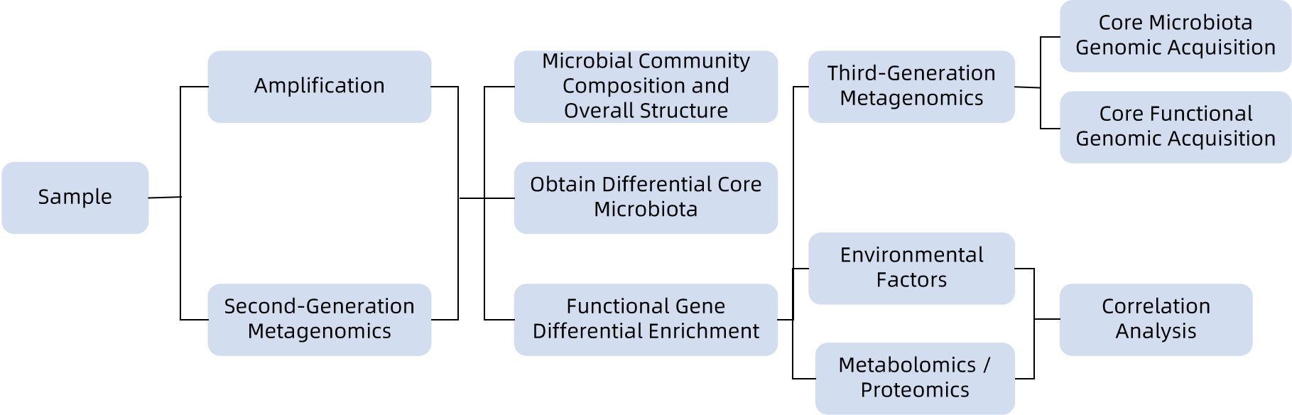 1846101726261268480-TheWorkflowofMicrobiomeMulti-OmicsAnalysis.png