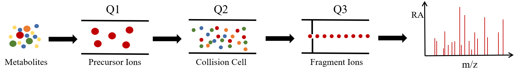 1846104068440313856-DiagramofMRMPrinciple.png