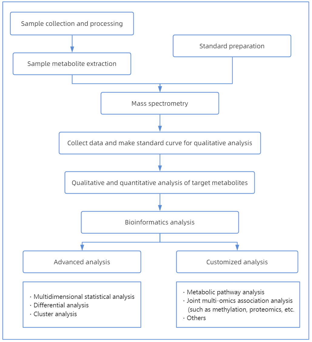 1847206589497987072-TheWorkflowof4-NitrophenolAnalysis.png