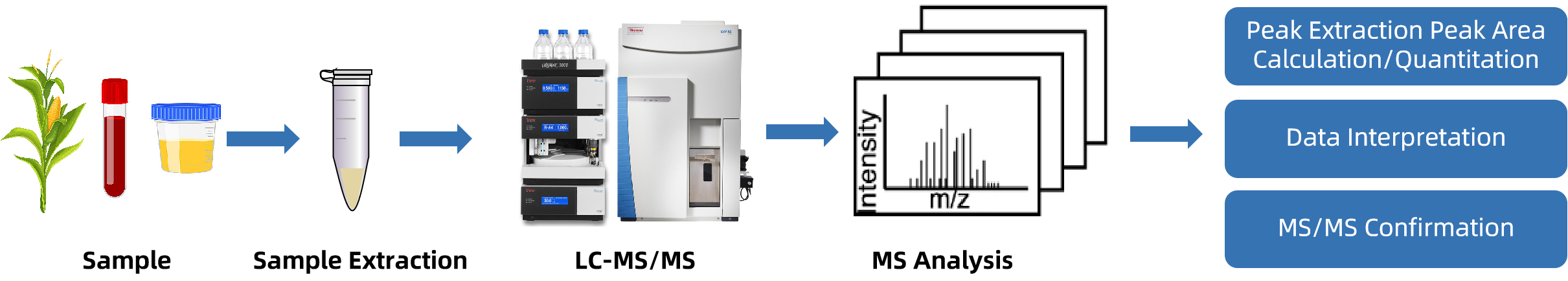 1847208287075422208-TheWorkflowofXylitolAnalysis.png