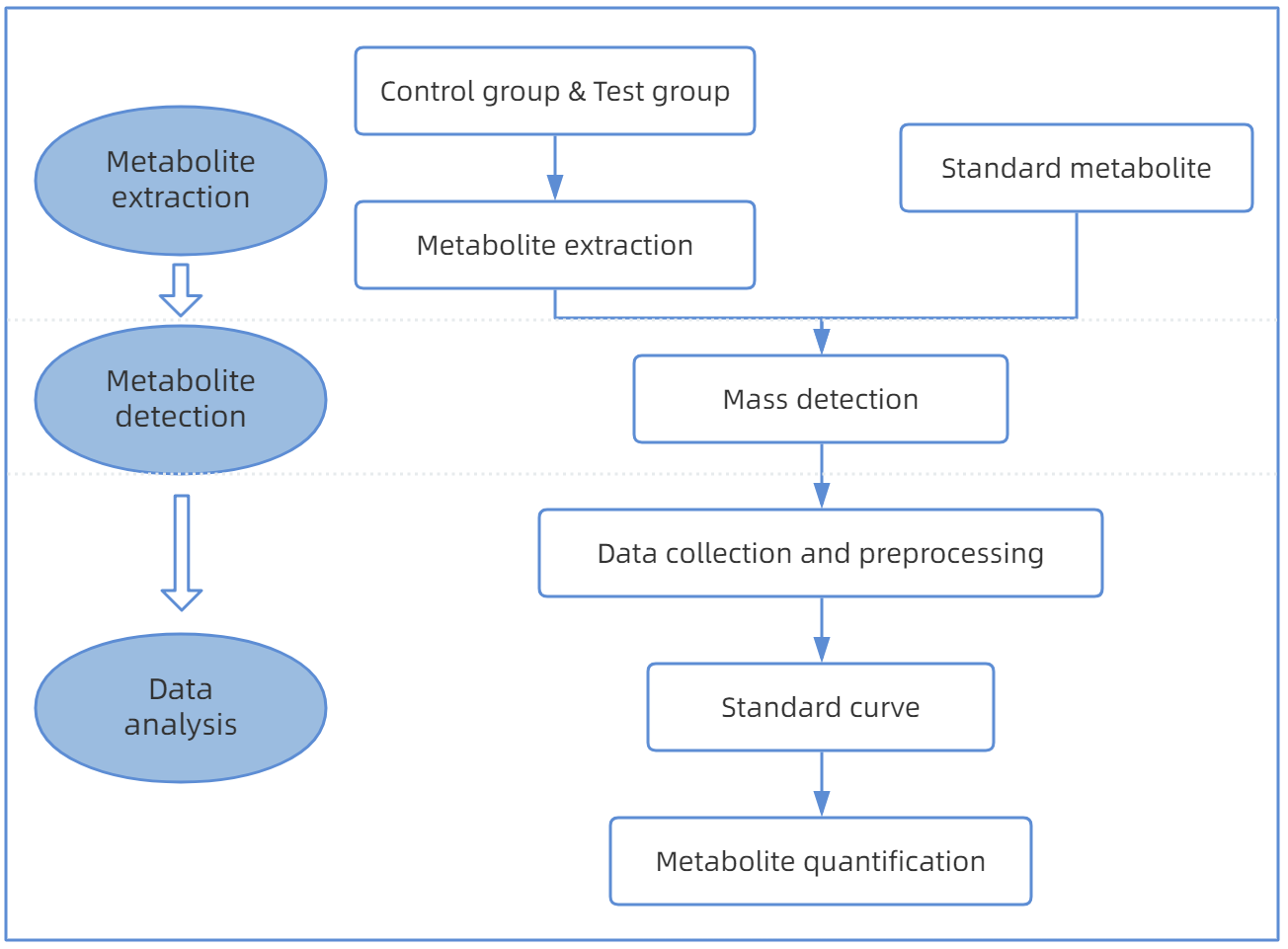 1848207316269780992-TheWorkflowofGlycyrrhizicAcidAnalysis.png