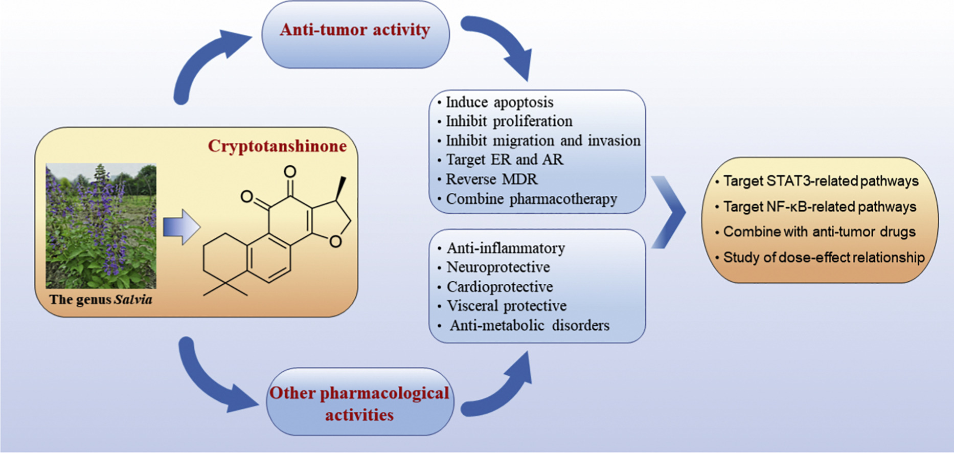 1848229632844353536-PharmacologicalActivitiesofCryptotanshinone.jpg