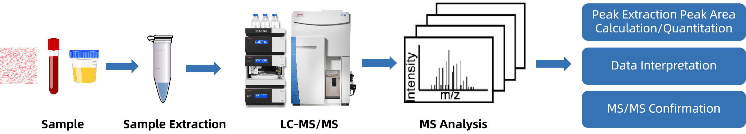1848230301978447872-TheWorkflowof4-HydroxycoumarinAnalysis.png