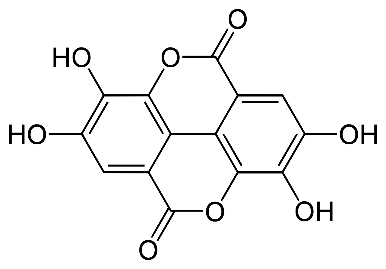 1848230736139243520-MolecularStructureofEllagicAcid.png