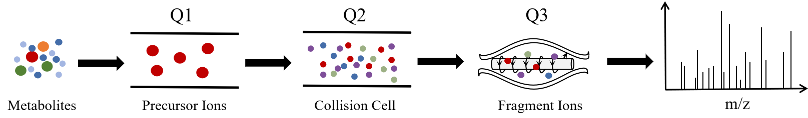 1848538489487478784-SchematicDiagramofthePRM.png