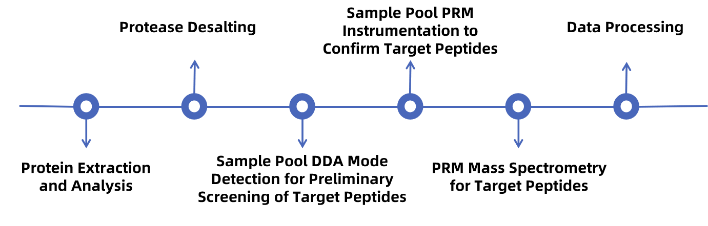 1848538657515491328-TheWorkflowofPRMBasedQuantitativePhosphoproteomicsAnalysis.png