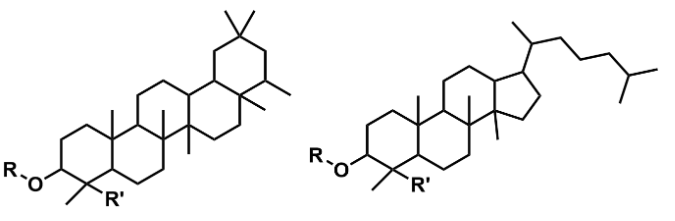 1851202356380250112-saponins-analysis-service1.png