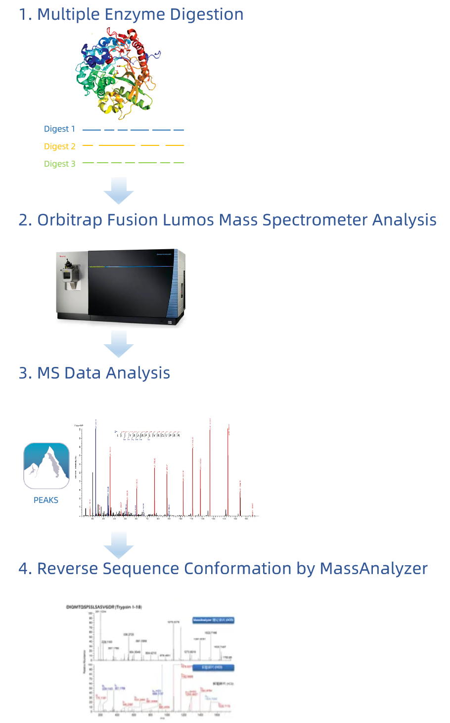 1853606799912587264-protein-de-novo-sequencing-service1.png