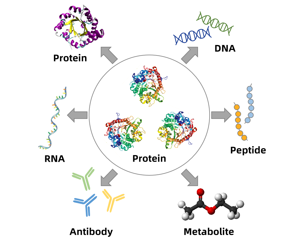 1854437901166301184-protein-interaction-analysis-service1.png