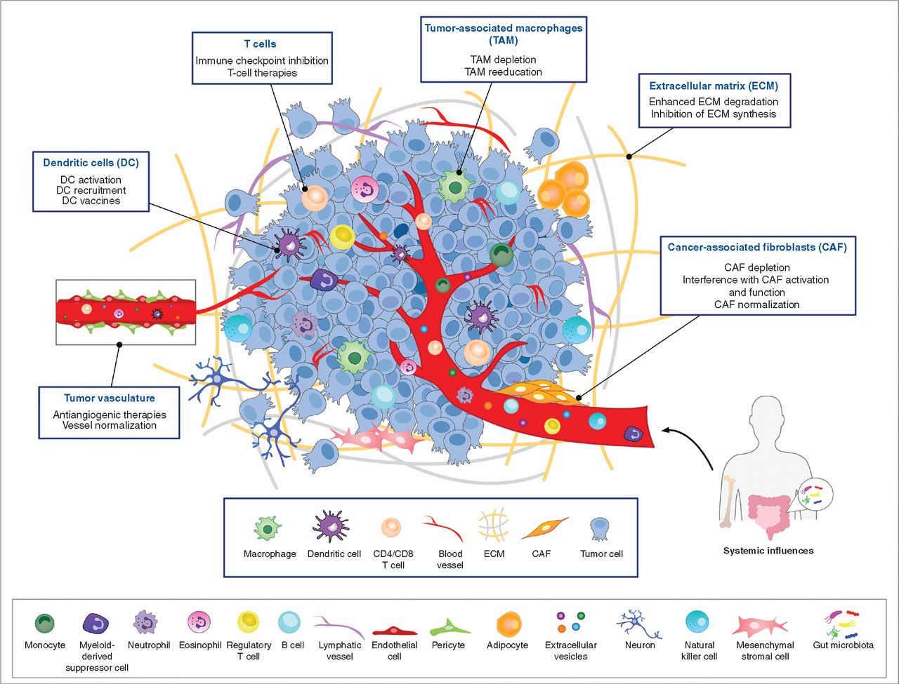 1856567432941522944-single-cell-proteomics-analysis2.jpg