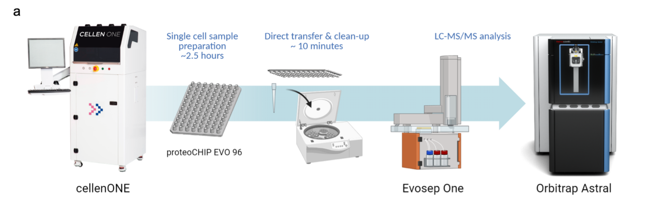 1856567988107988992-single-cell-proteomics-analysis3.png