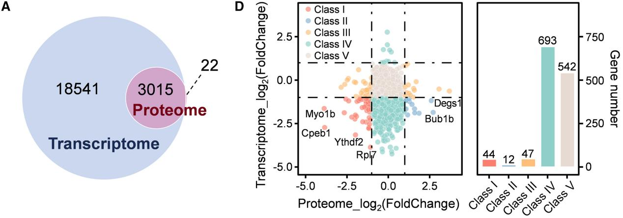 1856568403440553984-single-cell-proteomics-analysis4.png