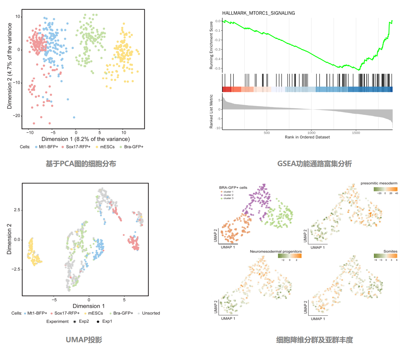 1856569069944819712-single-cell-proteomics-analysis5.png