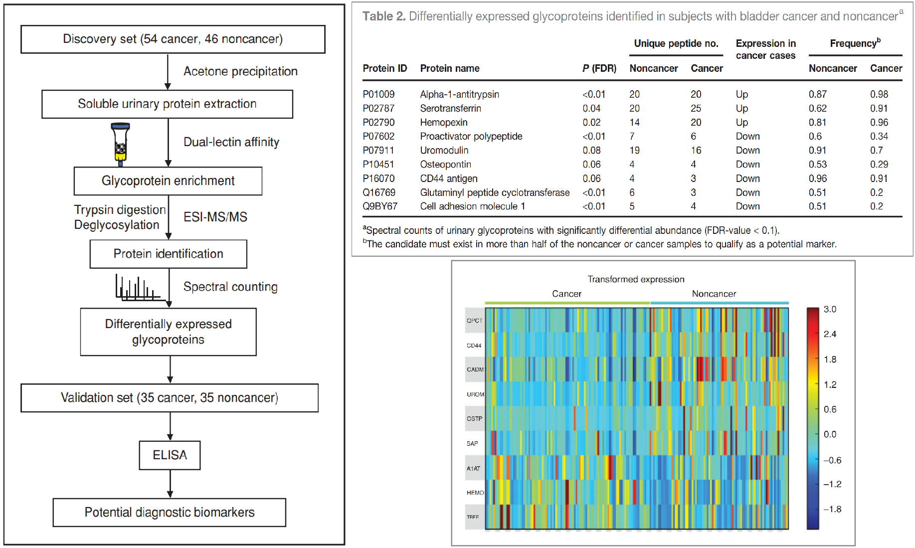 1857297156105949184-protein-identification-by-lc-ms-ms-service2.png