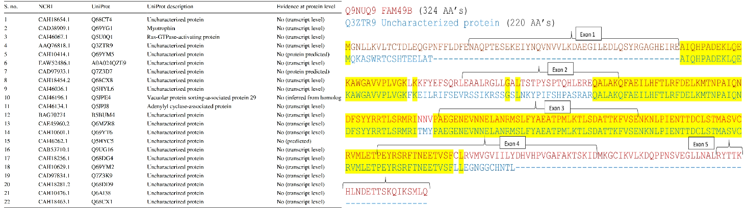 1857297742041829376-protein-identification-by-lc-ms-ms-service3.png