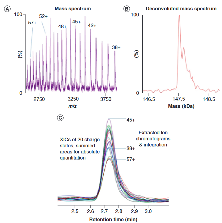 1857301467443613696-intact-protein-mass-spectrometry-service2.PNG