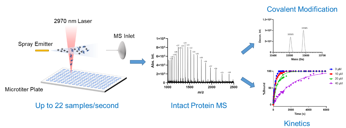 1857301516588273664-intact-protein-mass-spectrometry-service3.PNG