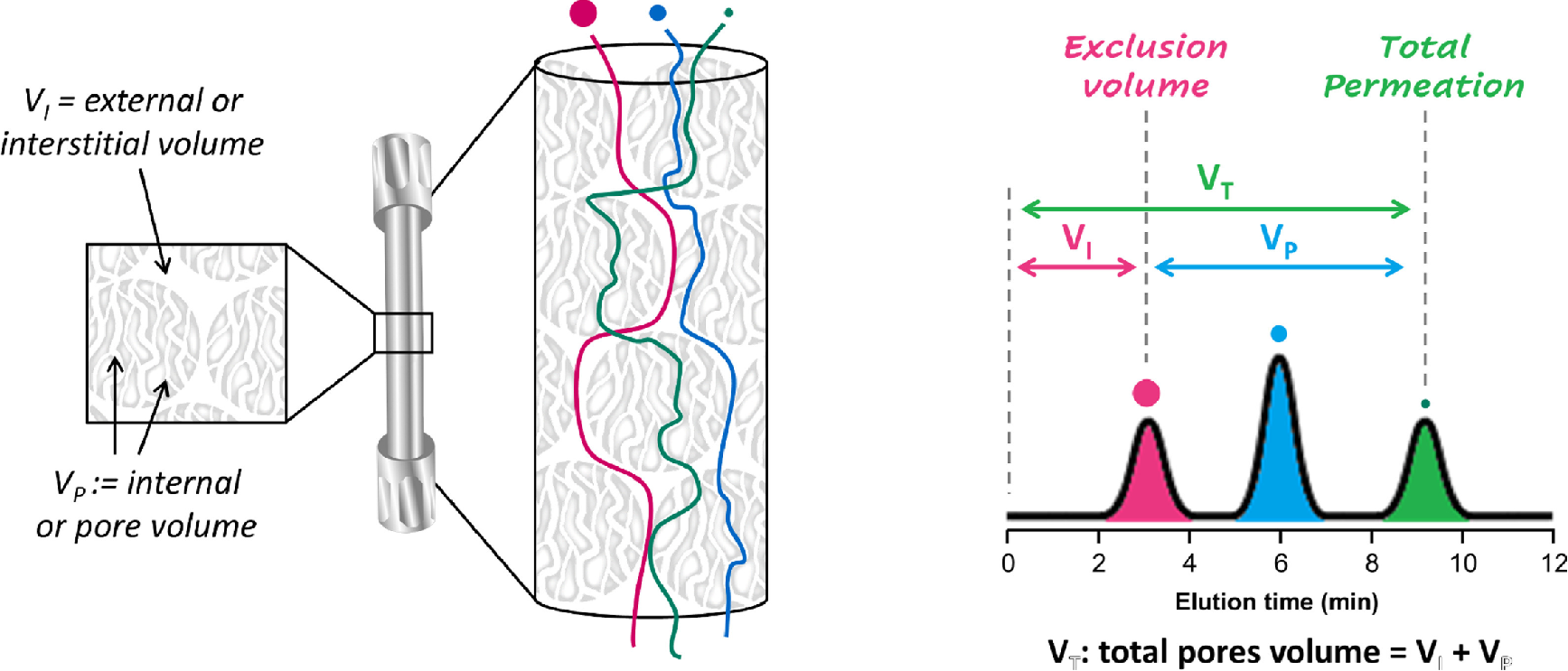 1856259778541113344-molecular-weight-analysis-service2.png