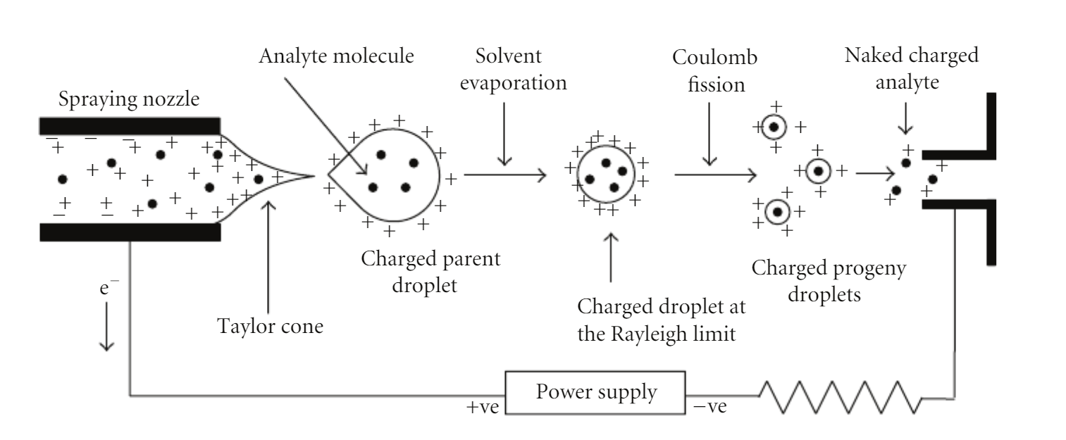 1856266012086358016-molecular-weight-analysis-service4.png