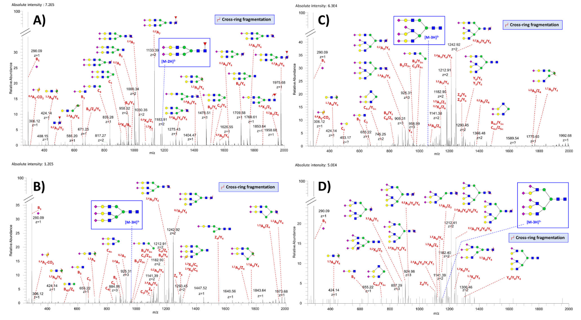 1856267992435380224-native-n-glycome-profiling-service2.PNG