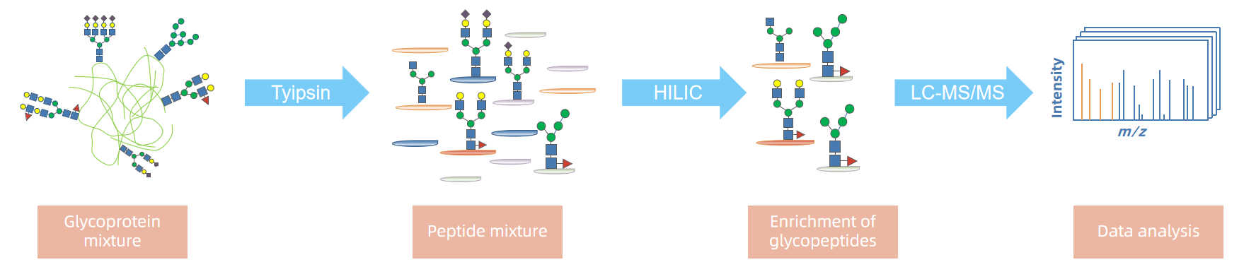 1856502381337497600-glycoprotein-quantitation-service1.PNG