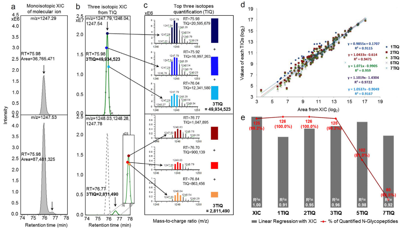 1856502524241629184-glycoprotein-quantitation-service2.PNG