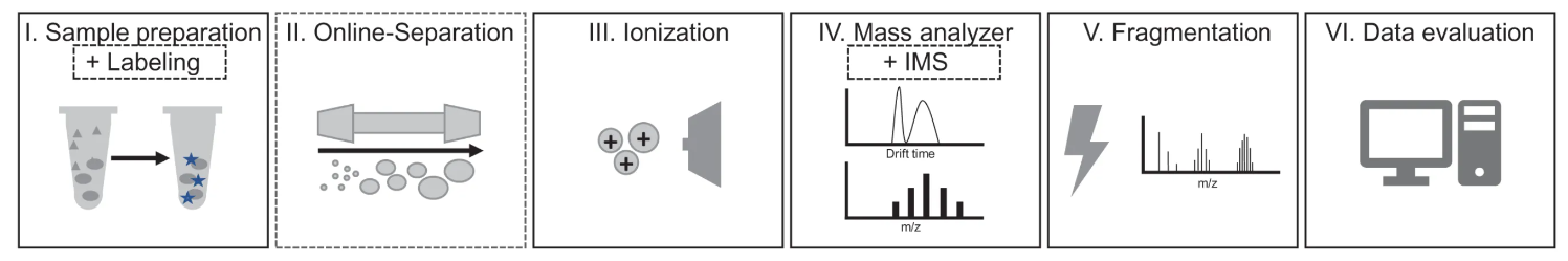 1857255205319069696-intact-mass-analysis-of-antibodies-service1.png