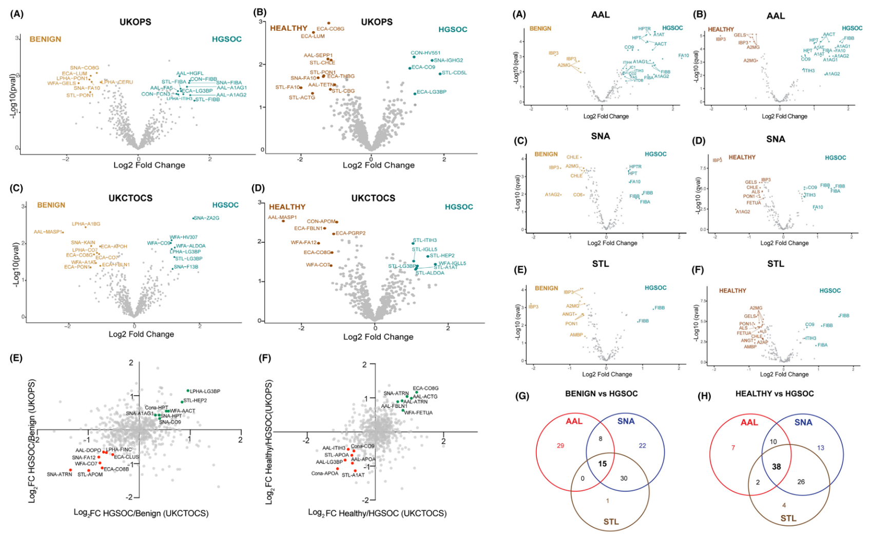 1857315244293607424-glycoprotein-biomarker-discovery-service3.PNG