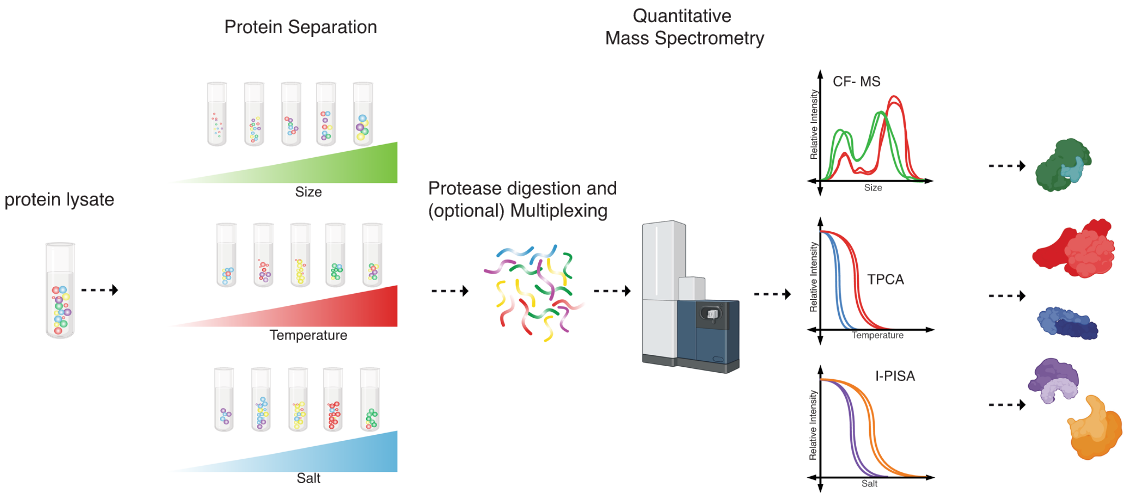 1857329534744514560-glycoprotein-interaction-analysis-service1.PNG