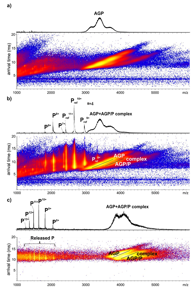 1857329907261624320-glycoprotein-interaction-analysis-service3.PNG