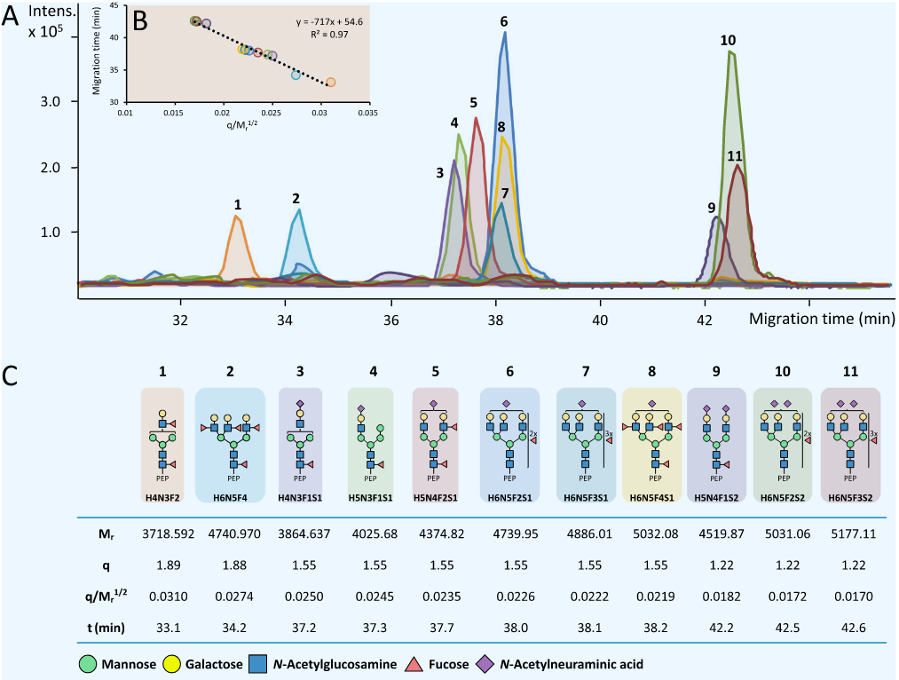 1857338653719252992-glycoprotein-modifications-analysis-service2.PNG