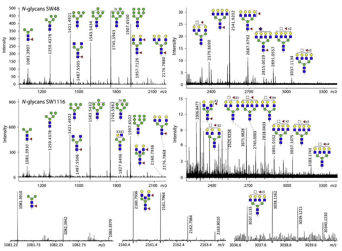 1857338714280808448-glycoprotein-modifications-analysis-service3.PNG