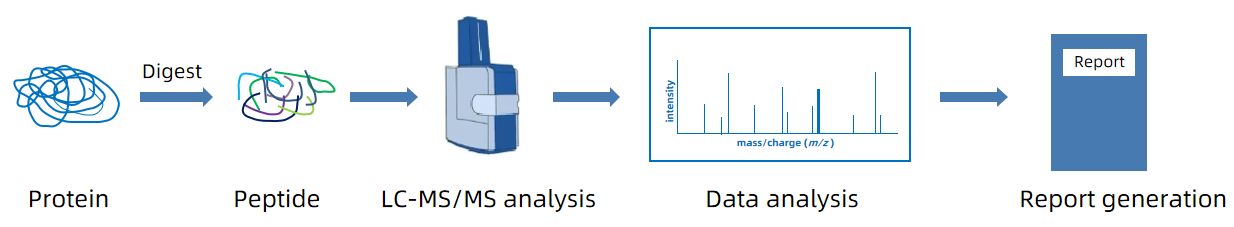 1858390661062578176-peptide-content-analysis-service1.PNG