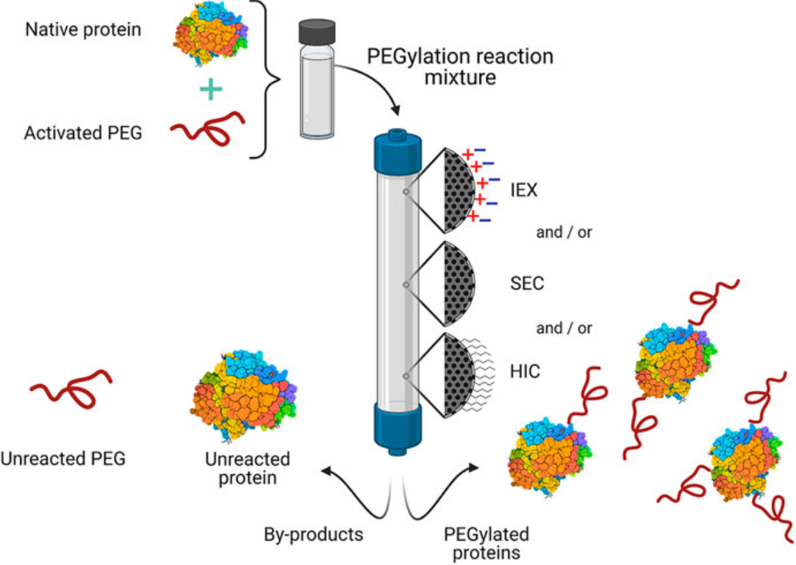 1858447410247356416-protein-quality-assessment-service2.png