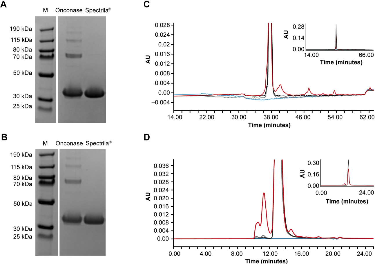 1858451124223856640-protein-quality-assessment-service3.png