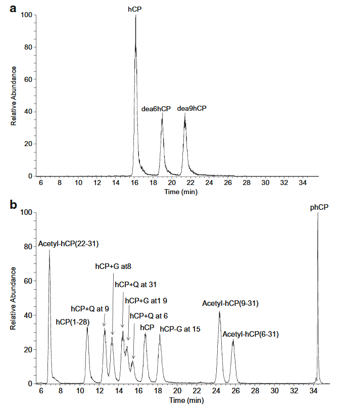 1858769156137668608-peptide-purity-testing-service2.PNG