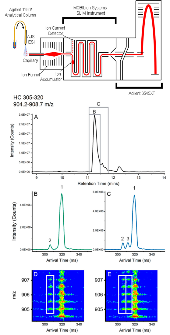 1859059381877420032-pharm-peptide-mapping4.png