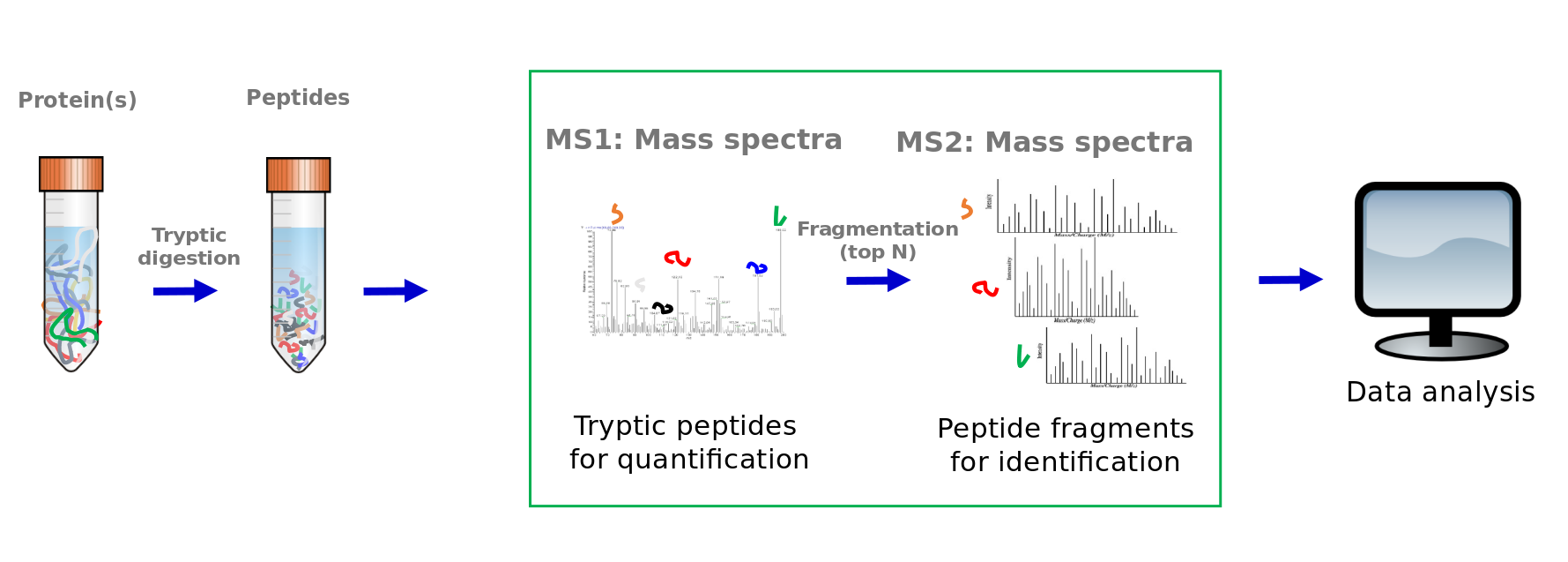 1859480822068400128-protein-mass-spectrometry-service1.png