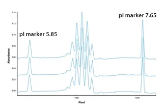 1859898603525976064-purity-analysis-of-peptides-or-proteins1.webp