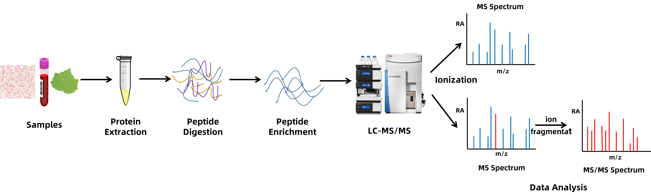 1860867809809608704-protein-characterization-analysis5.png