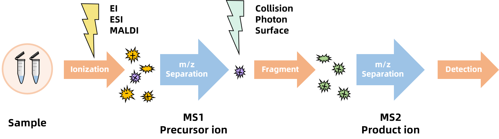 1859854703862075392-tandem-mass-spectrometry-service1.png