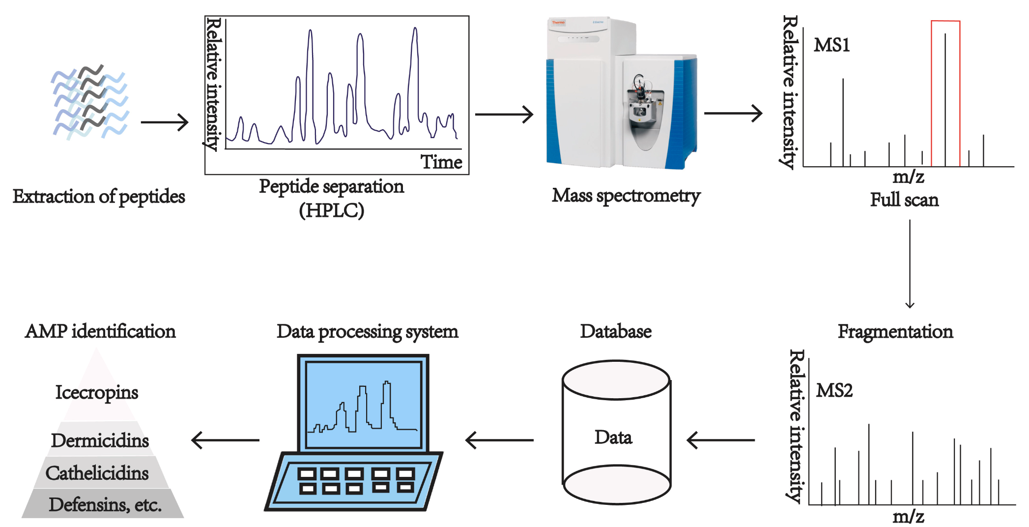 1859855378402627584-tandem-mass-spectrometry-service2.png