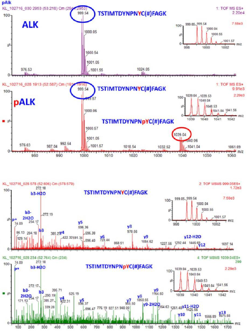 1859855629880512512-tandem-mass-spectrometry-service3.png