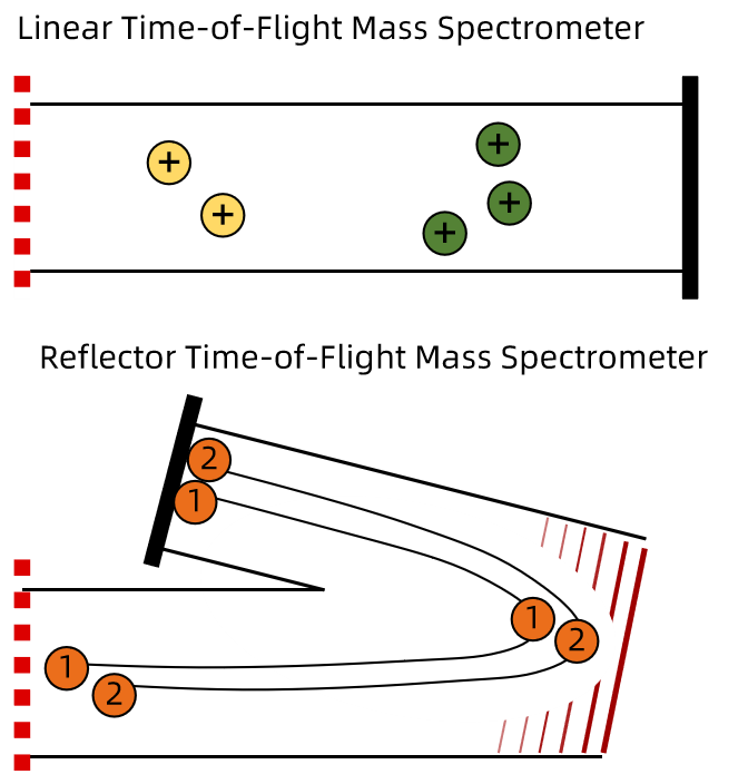 1861228480193744896-maldi-tof-mass-spectrometry-service2.png