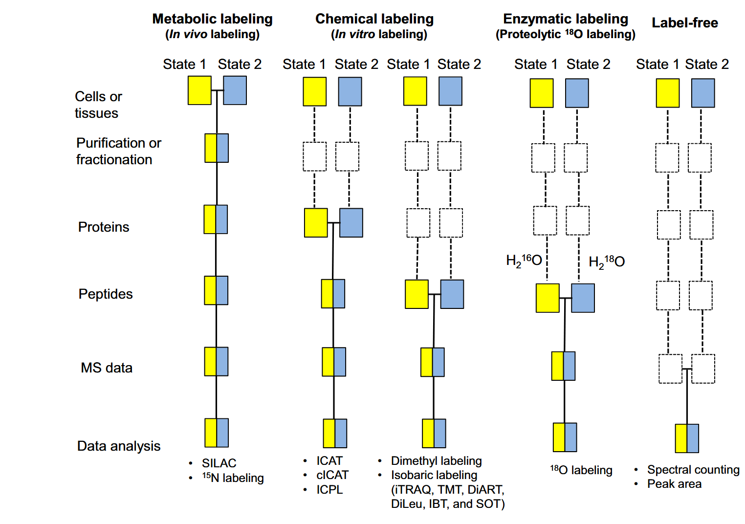 1861254205529509888-quantitative-proteomics-analysis-service1.png